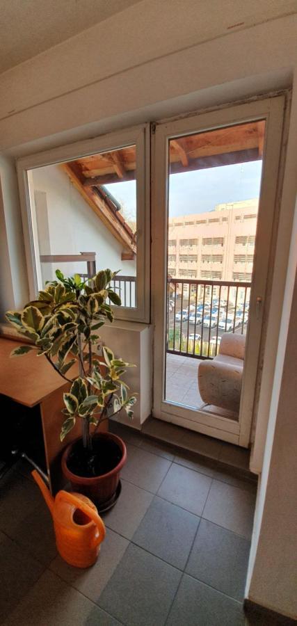 Romzsa Todor Kollegium Hostel Szeged Buitenkant foto