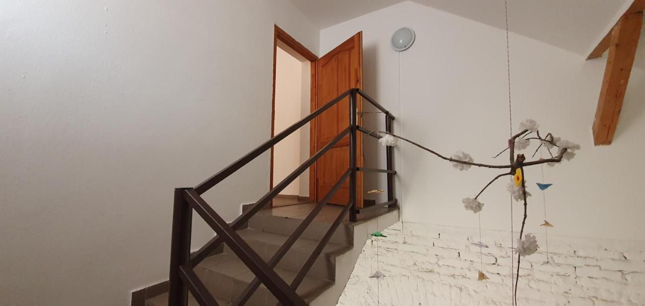 Romzsa Todor Kollegium Hostel Szeged Buitenkant foto