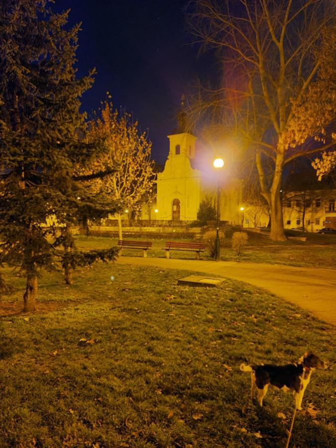 Romzsa Todor Kollegium Hostel Szeged Buitenkant foto