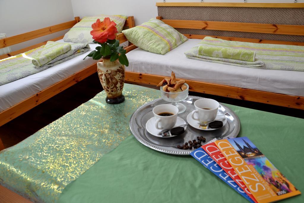 Romzsa Todor Kollegium Hostel Szeged Buitenkant foto